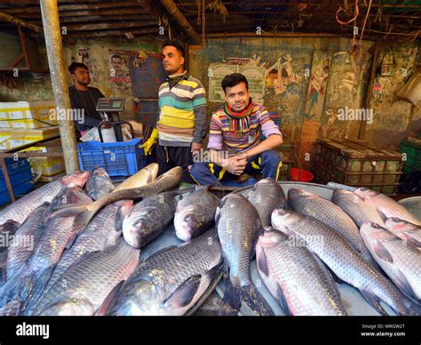 bengal fish bangladesh - best fish market online dhaka photos|Bengal Fish Rohu Fish .